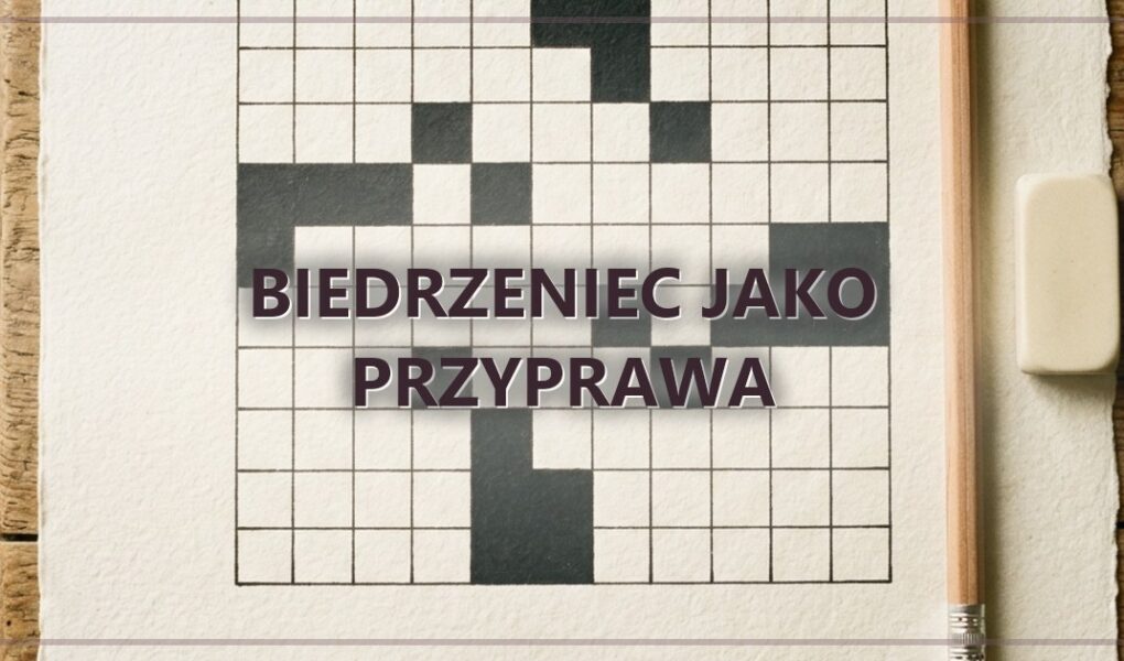 Biedrzeniec jako przyprawa