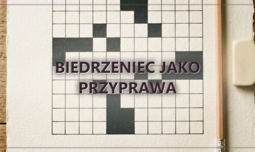 Biedrzeniec jako przyprawa
