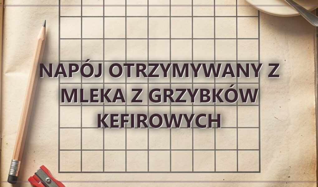 Napój otrzymywany z mleka z grzybków kefirowych