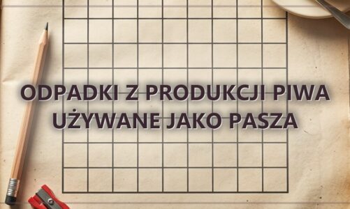Odpadki z produkcji piwa używane jako pasza